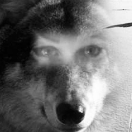 KajsaB-wick