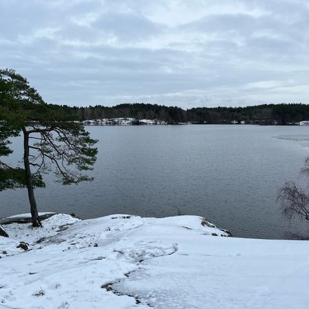 Solsken_85