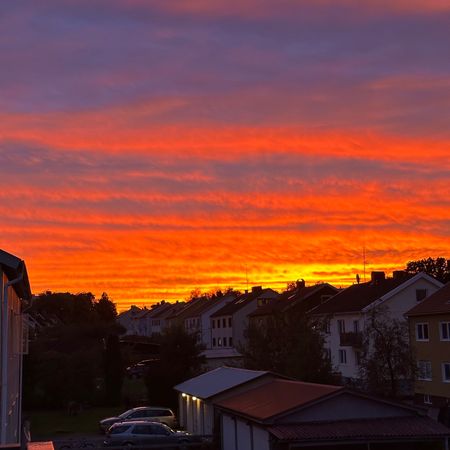 golden_constellation