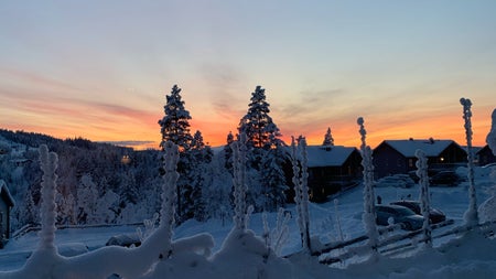 Hejlise