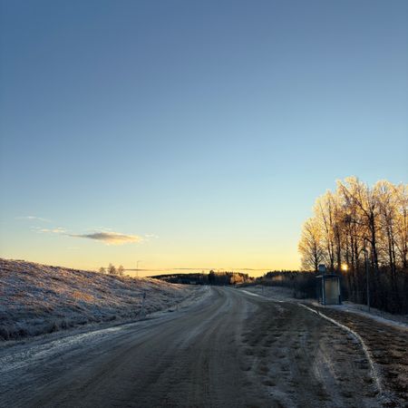 Elllsvann