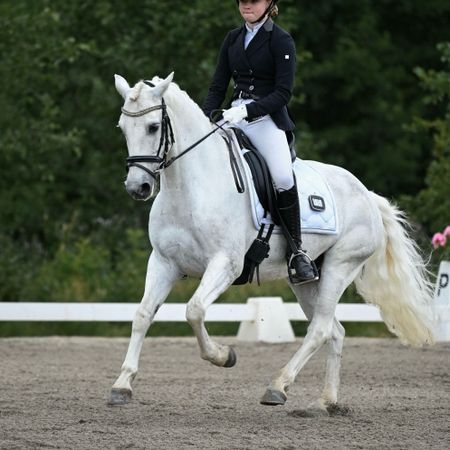 Linnea123Grapatin