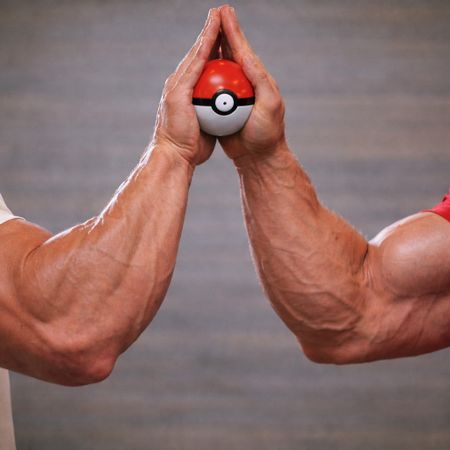PokeBros.