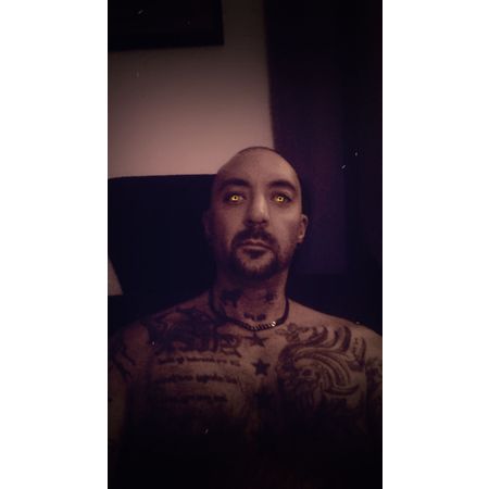 vitvarg