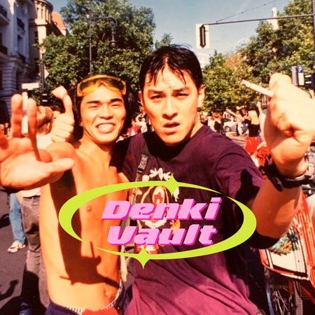 Denki Vault