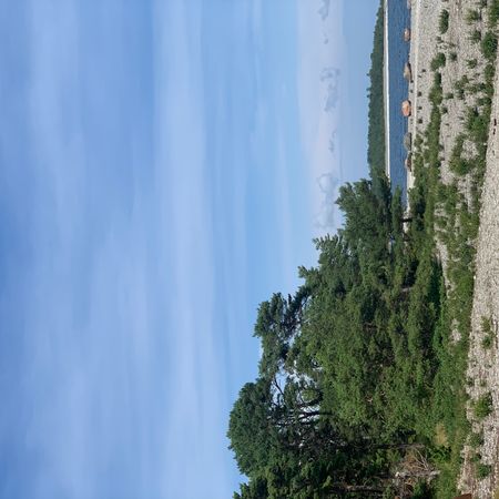 LinneaEngvalll