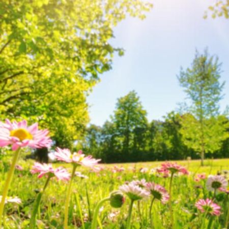 Christopher Thorsson