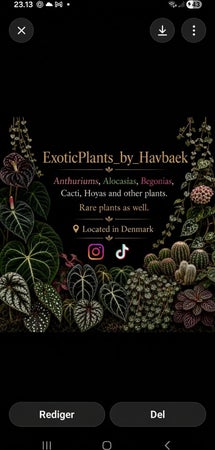 ExoticPlants_by_havbaek