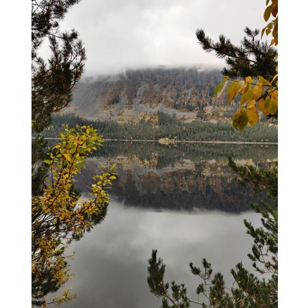 Promenix84