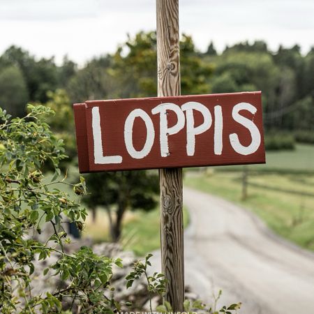 LoppisLou