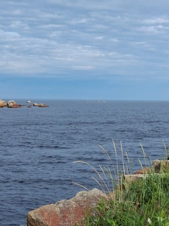 HälsinglandJenny