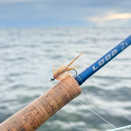 Flyfishing.Damir