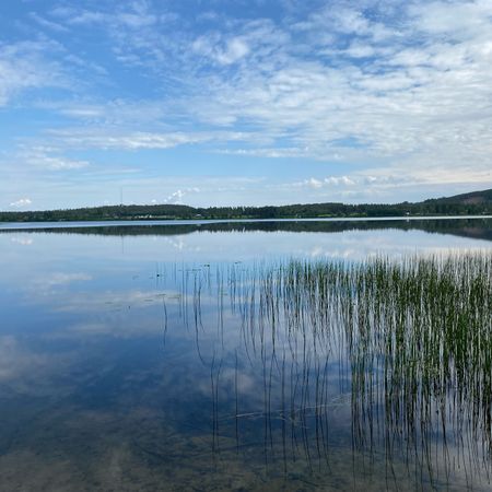 Grönbacken