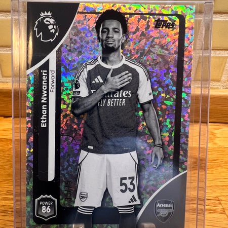 Tilly-willyTCG