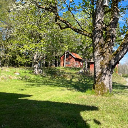 Kattås