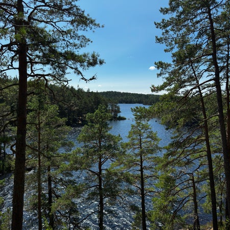 OscarCarlqvist