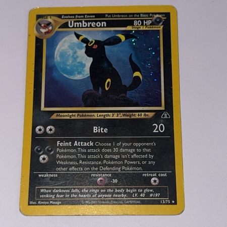 Pokeguyy