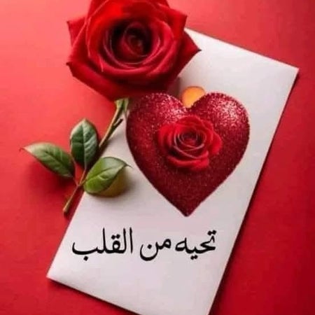 noora_s