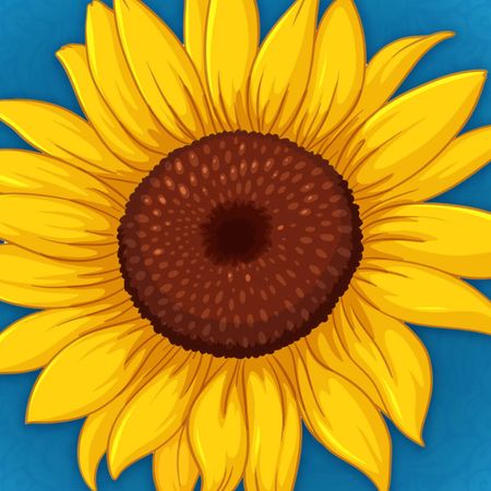 Insamlingtillukraina