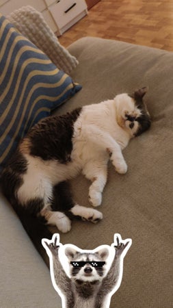 Benjamin.Eg