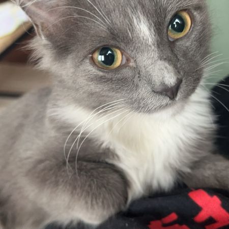 p3rni