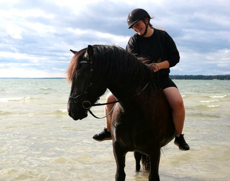 SteffisHorse