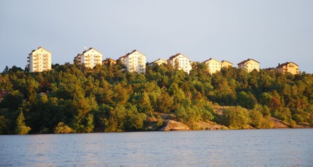 dasivon