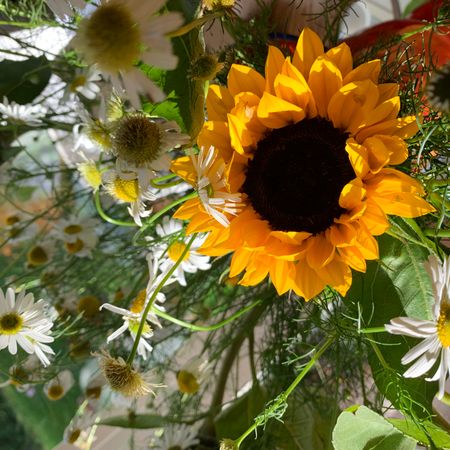 Blomsteräng.Y