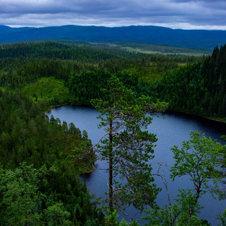 e.wiklund