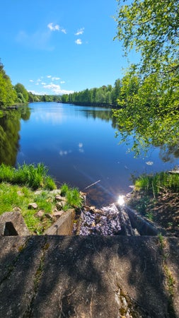 Moppskaft