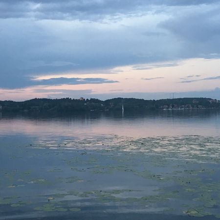 fridalusen