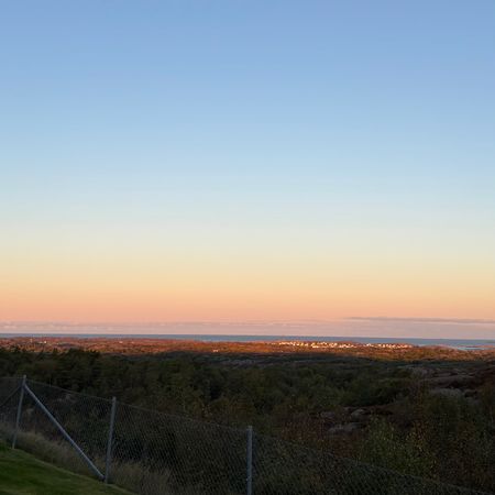 Sånglärka