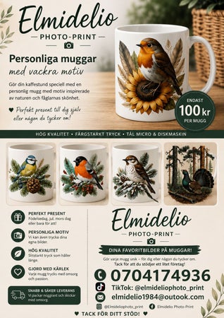 Elmidelio