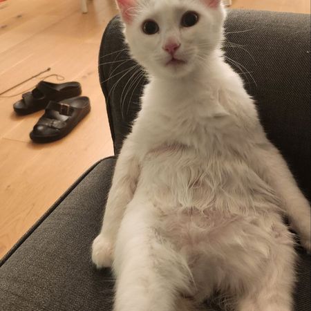 Tasci.Elinur