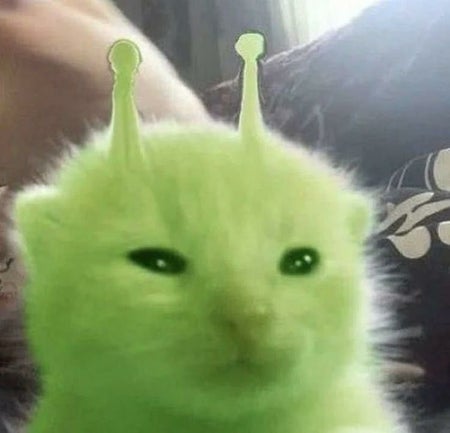 MangoMargo