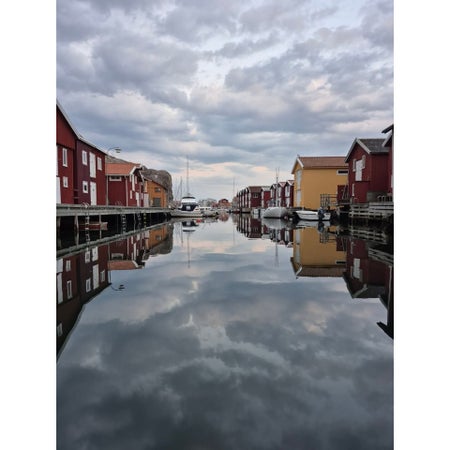 kalvbogen
