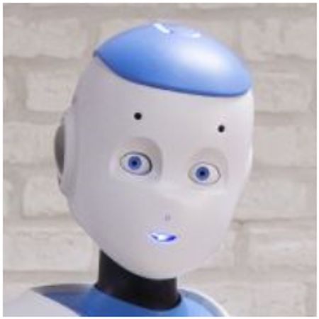 ROmeoBOT