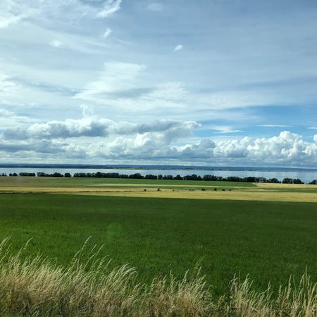pinguklumpen