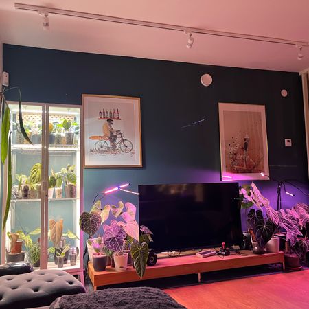 plantjunkie11