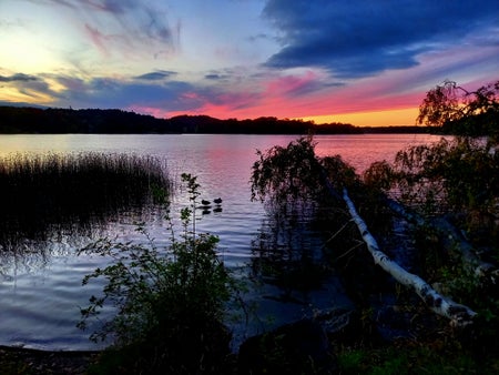 MidnightLight