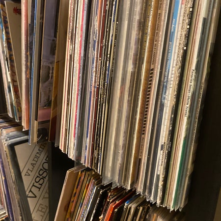 Robbansvinyler