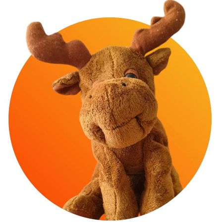 Moosebros