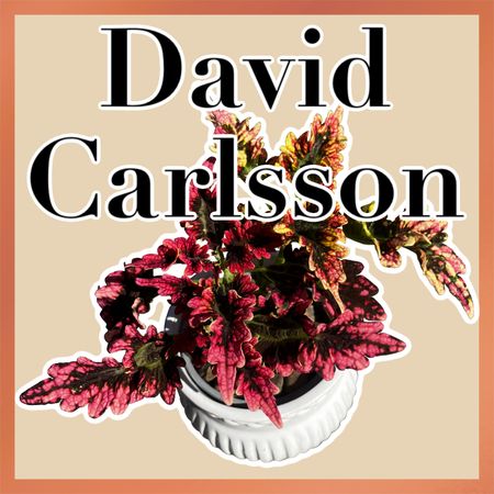 Davidcarlsson20