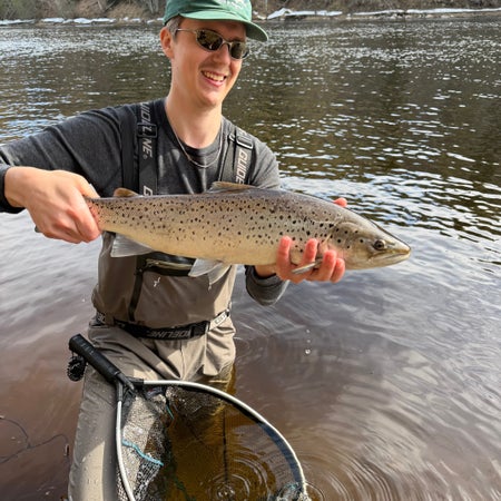 Gus.1