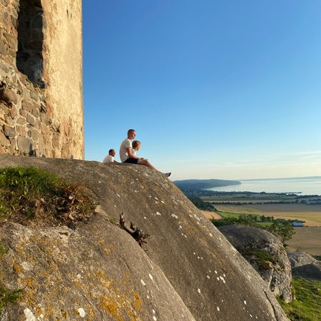 Budgivarne