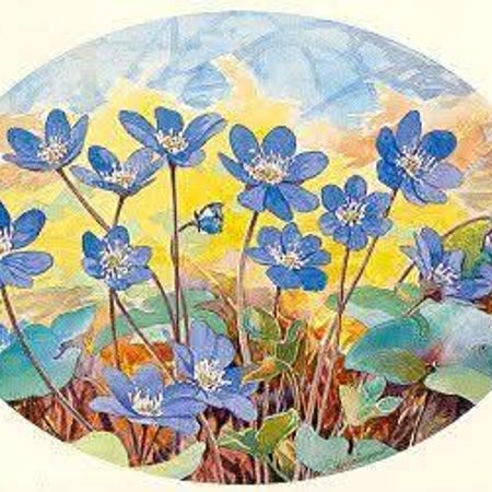 sommarvindar