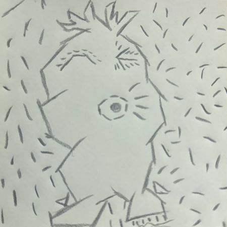 frostduck
