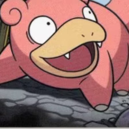 Pokemon Selection