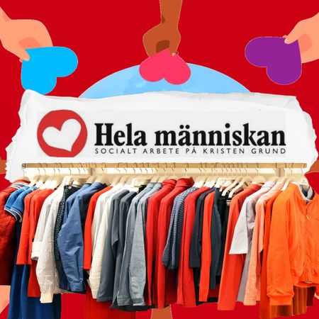 HelaMiP1_