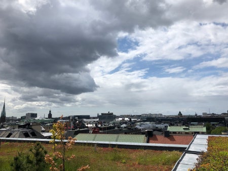 KungsholmenAuk